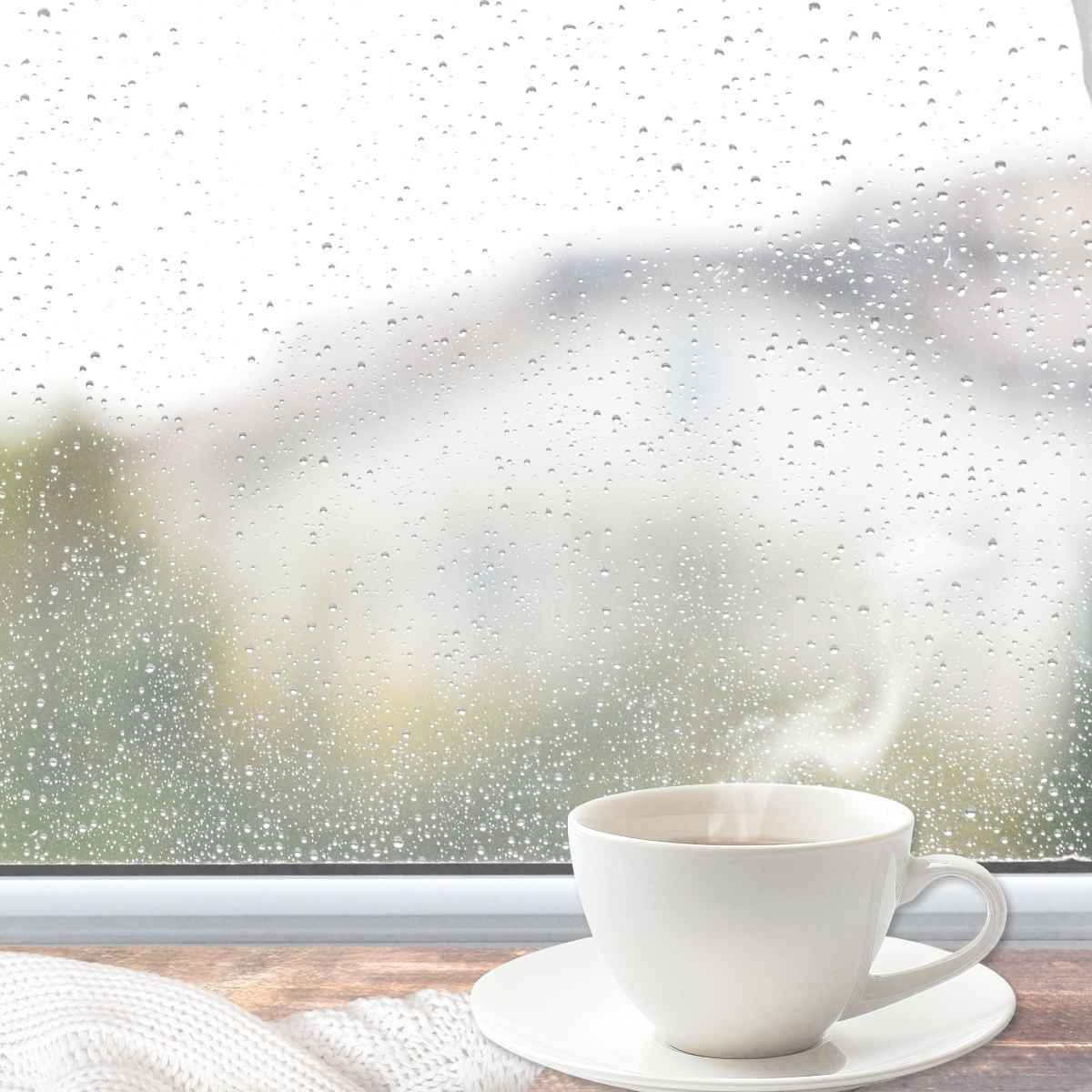 Cup of steaming coffee in front of a rainy window